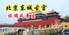 啊啊啊喷了插进去视频中国北京-东城古宫旅游风景区
